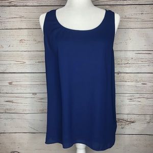 Express Blue Top | Large